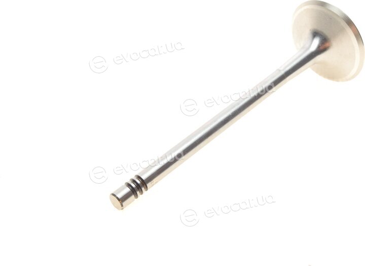 Mahle 029 VE 31236 000