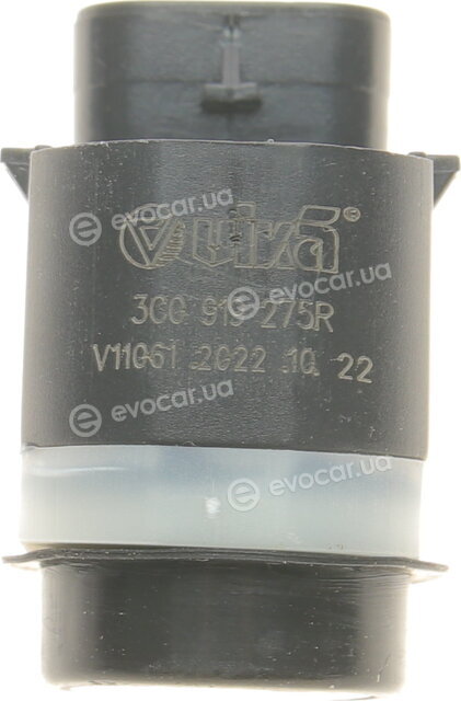 Vika 99191780801