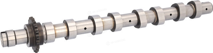 Blue Print ADBP610216