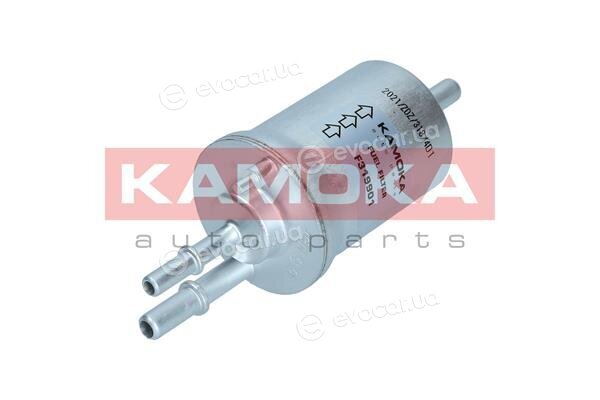 Kamoka F319901