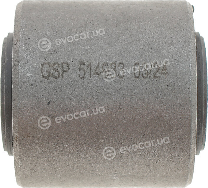 GSP 514933
