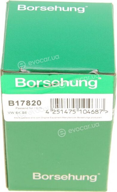 Borsehung B17820