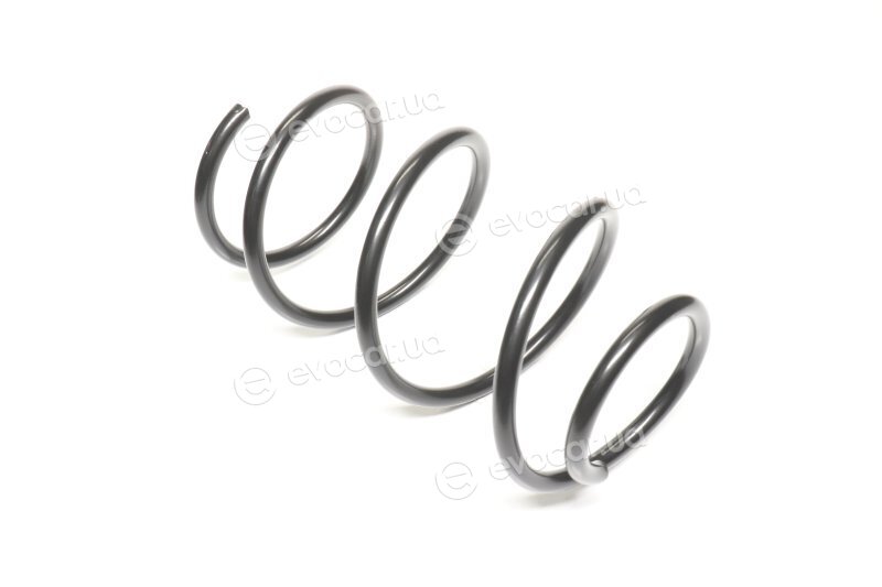 Lesjofors 4008448