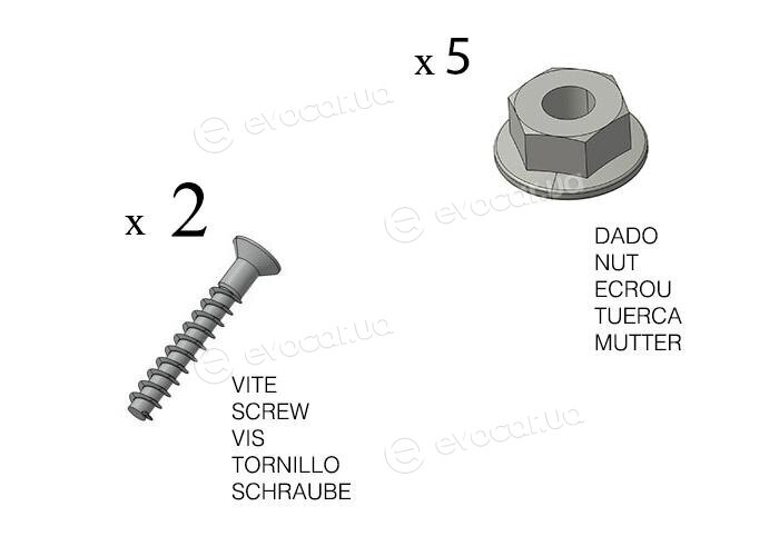 Starline QP OL-VECC-03-3900L