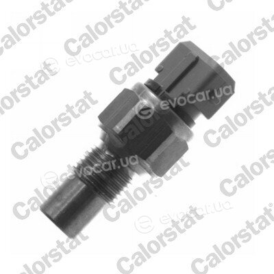 Vernet / Calorstat WS2619