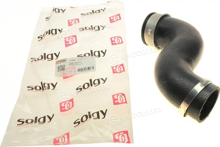 Solgy 114242