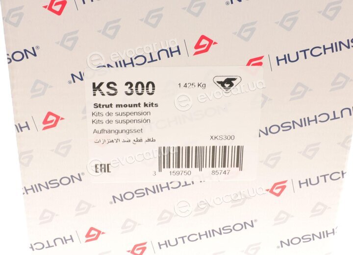 Hutchinson KS 300
