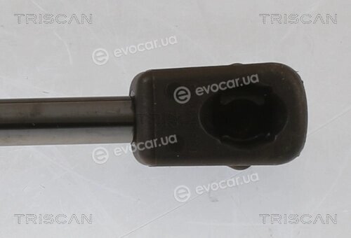 Triscan 8710 292069