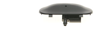 Vika 99551817801