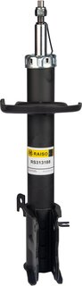 Raiso RS313188