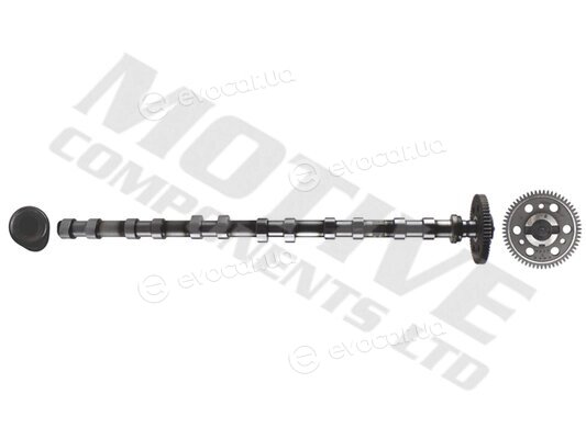 Motive T2137