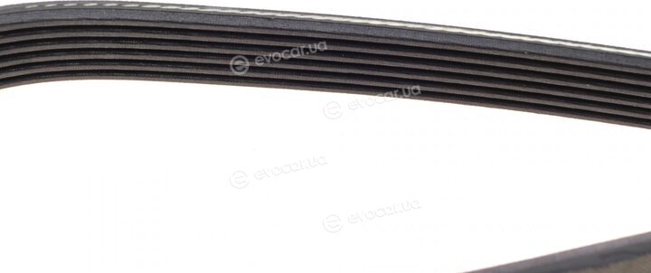 Dayco 6PK1209