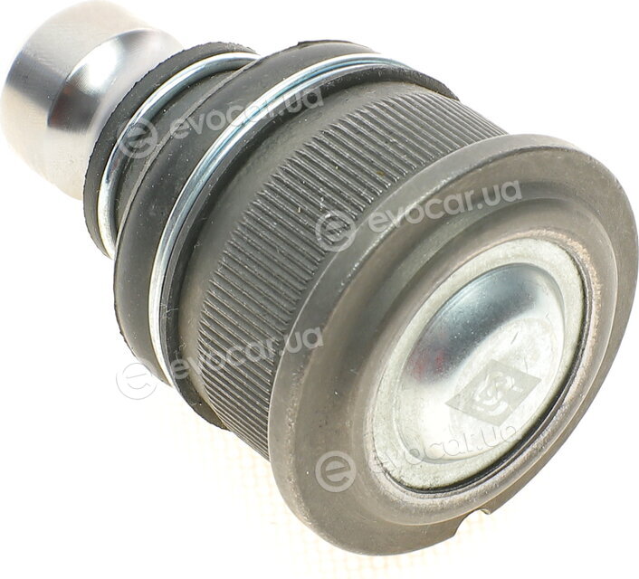 Solgy 203012