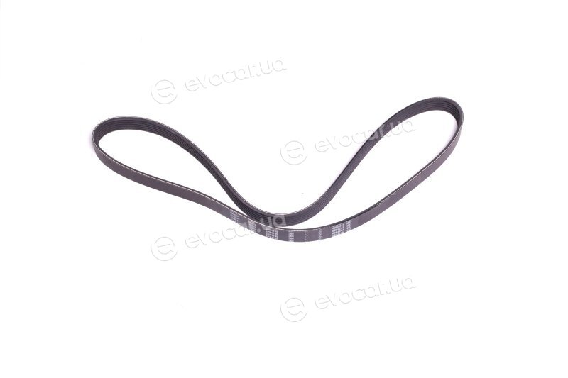 SKF VKMV 6PK1199