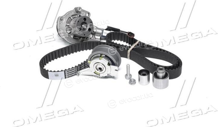 Continental CT1168WP3
