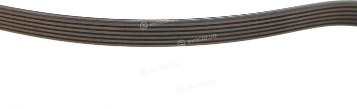 Blue Print AD06R2575