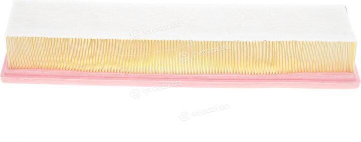 Solgy 103038