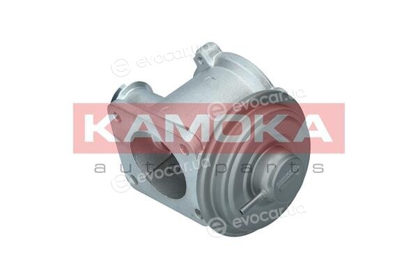 Kamoka 19062