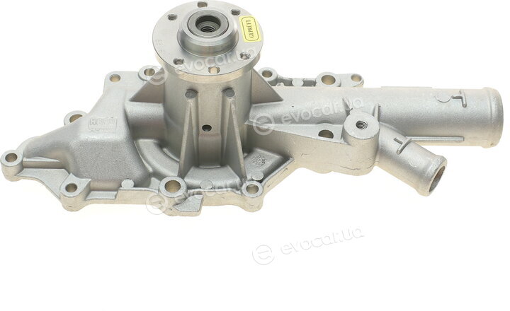 Hepu P1538