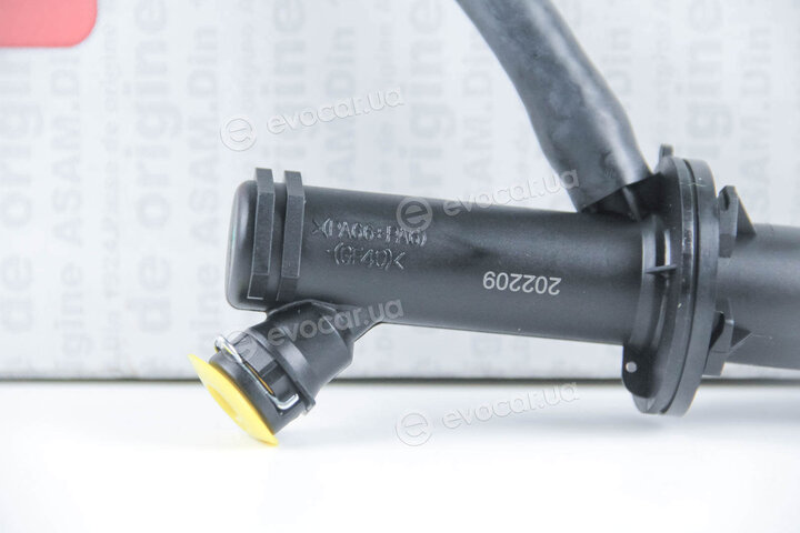 Asam 98807