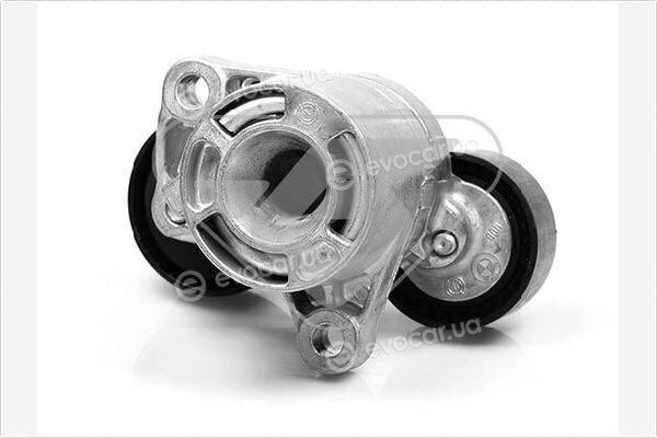 Hutchinson T0065