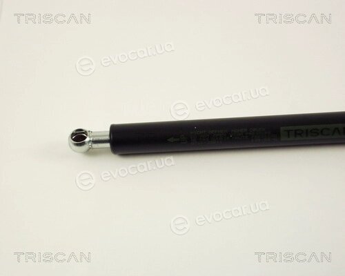 Triscan 8710 38211