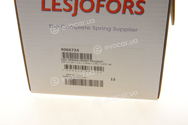 Lesjofors 4066724