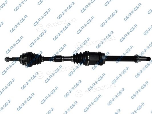 GSP 259519