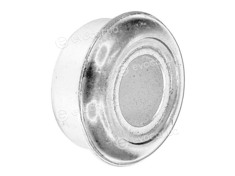 Mopar (PSA / FCA) 500350342