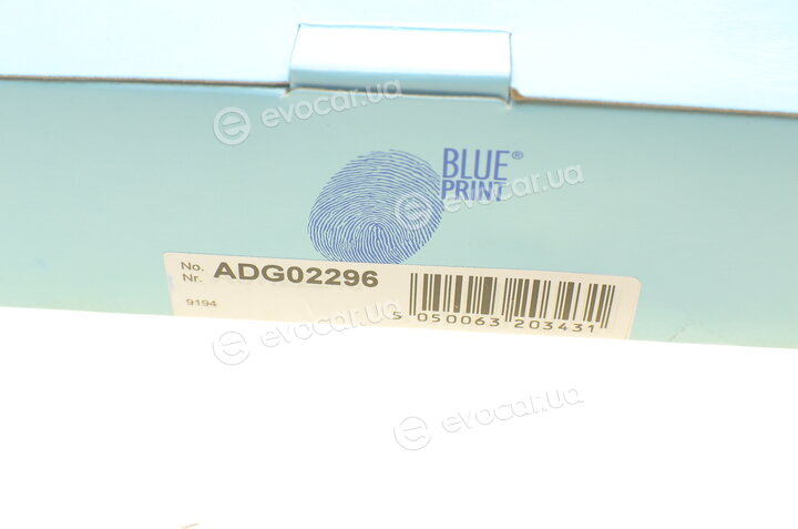 Blue Print ADG02296
