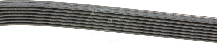 Continental 7PK1730