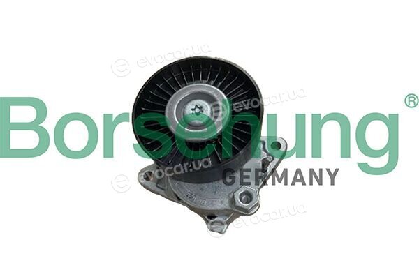 Borsehung B13087