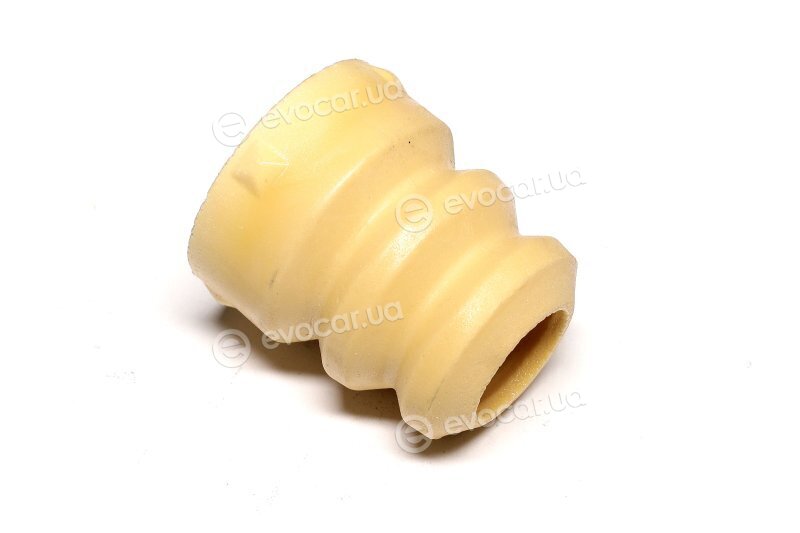 Sasic 2656008