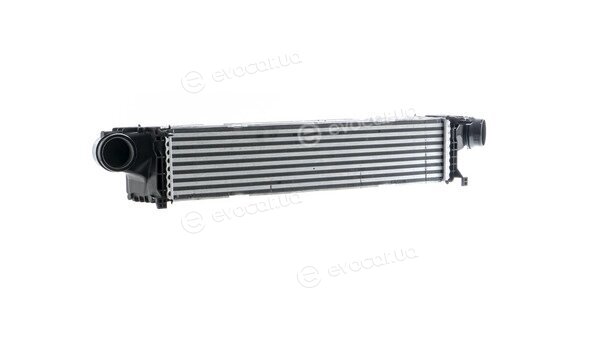 Mahle CI 145 000P