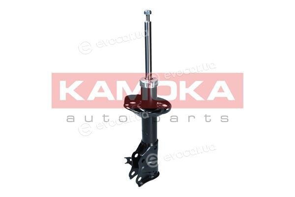 Kamoka 2001117