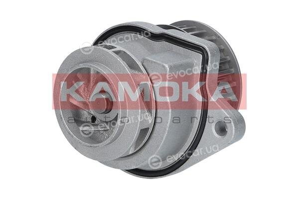 Kamoka T0248