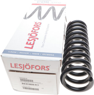 Lesjofors 4256816