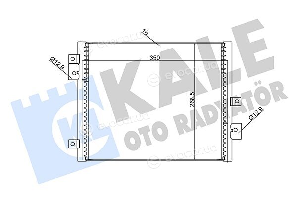 Kale 342440