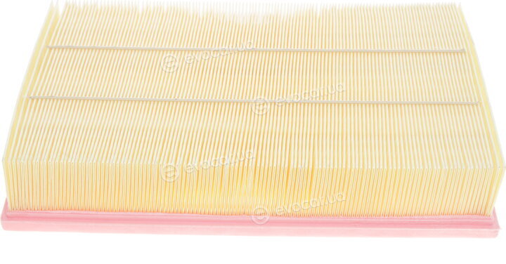 Solgy 103005