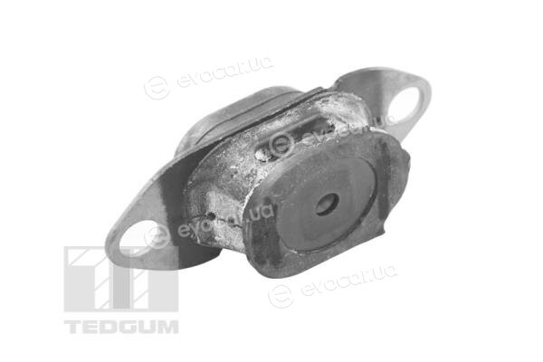 Tedgum TED46913
