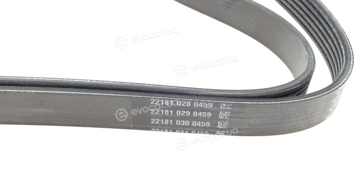 Dayco 6PK1550