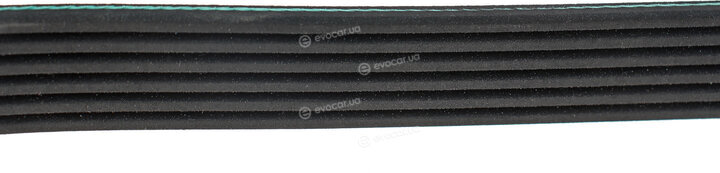 INA FB 6PK1680