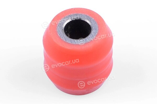 Tedgum TED89949