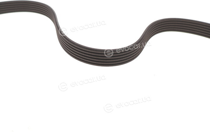 Dayco KPV1228