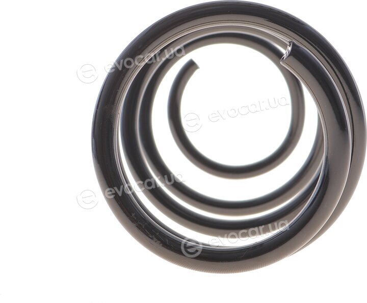 Solgy 212186