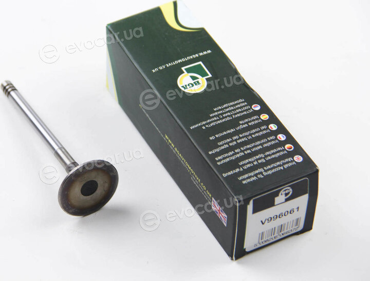 BGA V996061