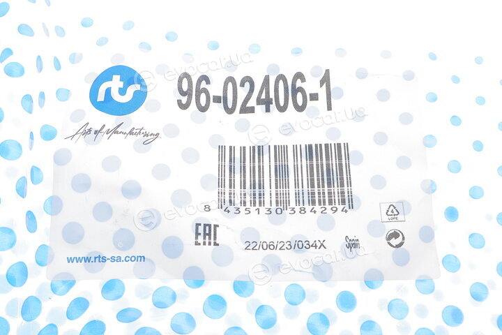 RTS 96-02406-1