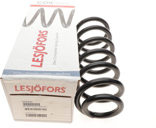 Lesjofors 4295844