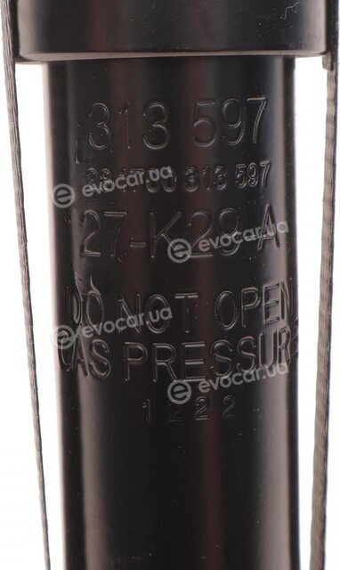 Sachs 313 597