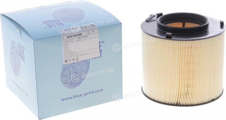 Blue Print ADV182268